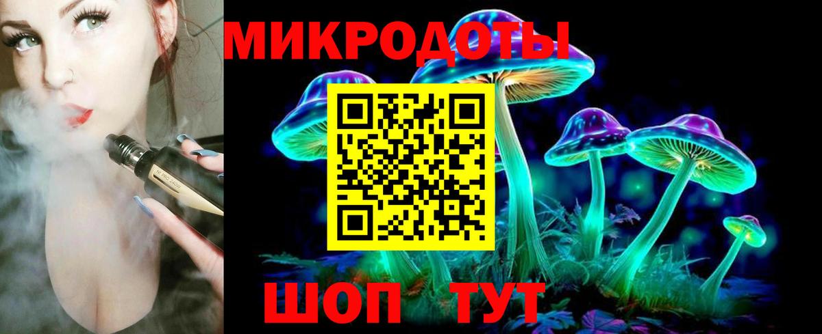 Сыктывкар  закладки  Вход с VPN  Галлюциногенные грибы прущие грибы 