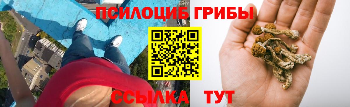 Галлюциногенные грибы GOLDEN TEACHER Сыктывкар